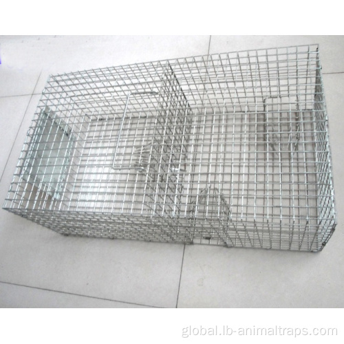 Live Bird Trap Repeating Sparrow Control Trap Wire Cage Manufactory